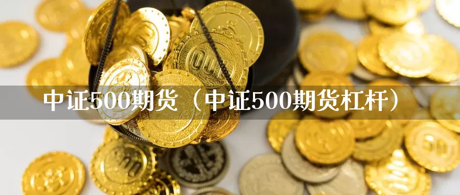 中证500期货（中证500期货杠杆）_https://www.soswan.net_期货直播_第1张